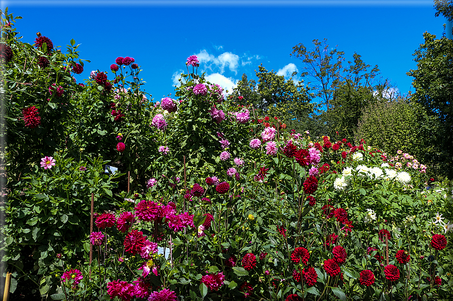 foto Giardini Trauttmansdorff - Paesaggi dell'Alto Adige